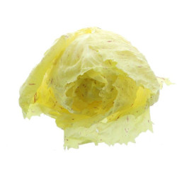 SALADE CASTEL FRANCO 2KG